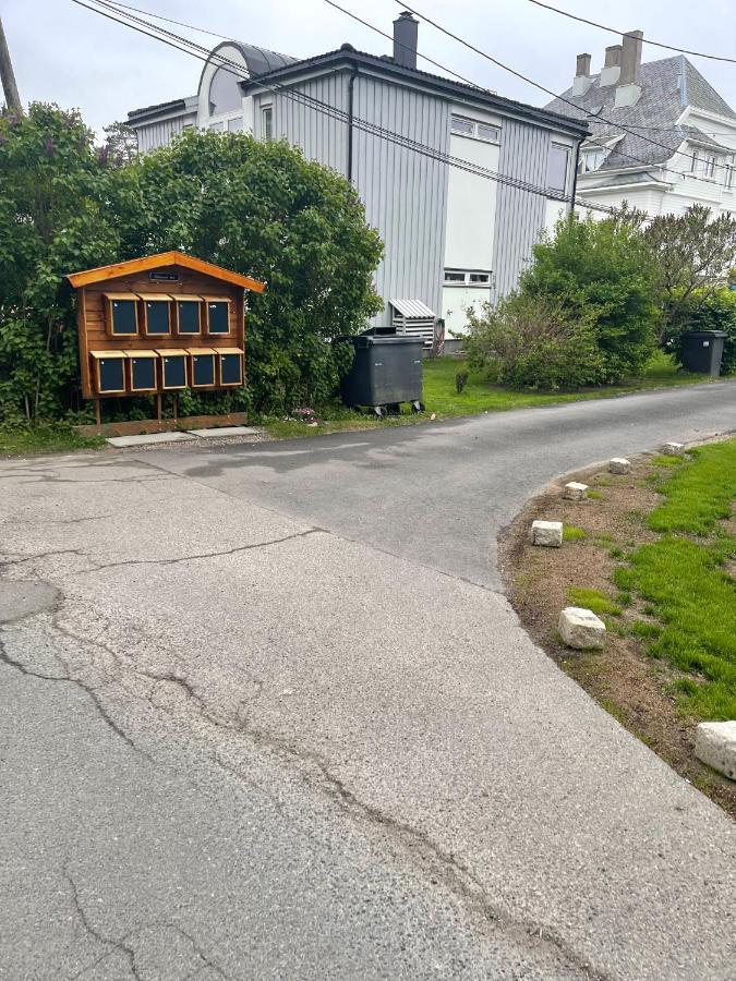 Nice Apartment With1 Bedroom Separate Living Room With A Sofa Bed And A Tiny Kitchen A Bathroom Located In Nordstrand Near By The Sea For 3 Guests With A Garden And Grill 5 Extra Guests With Extra Cost In The Cabin With Sea View Just Outside The Apar Oslo Dış mekan fotoğraf