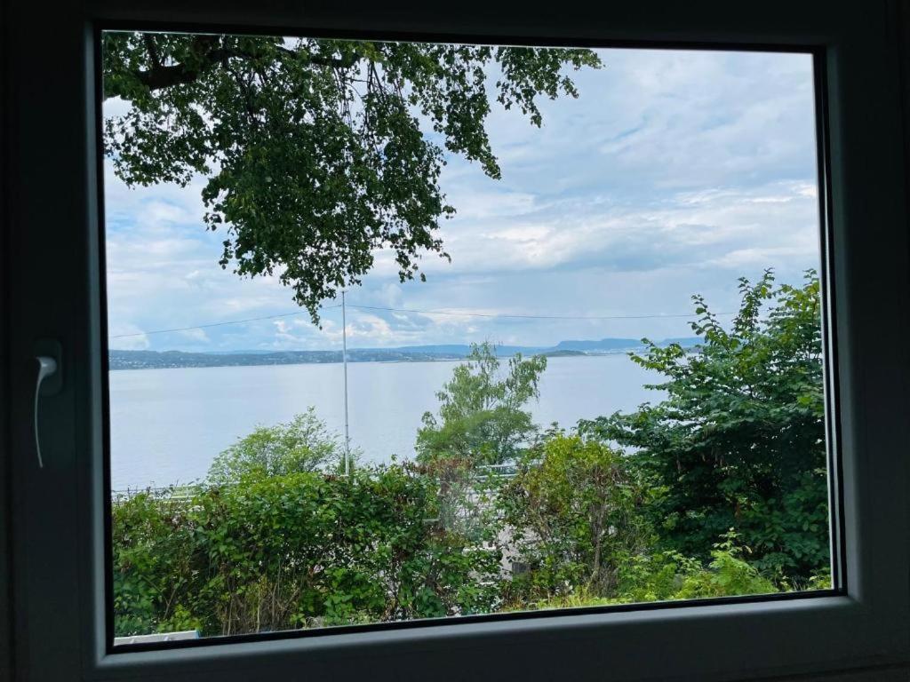 Nice Apartment With1 Bedroom Separate Living Room With A Sofa Bed And A Tiny Kitchen A Bathroom Located In Nordstrand Near By The Sea For 3 Guests With A Garden And Grill 5 Extra Guests With Extra Cost In The Cabin With Sea View Just Outside The Apar Oslo Dış mekan fotoğraf